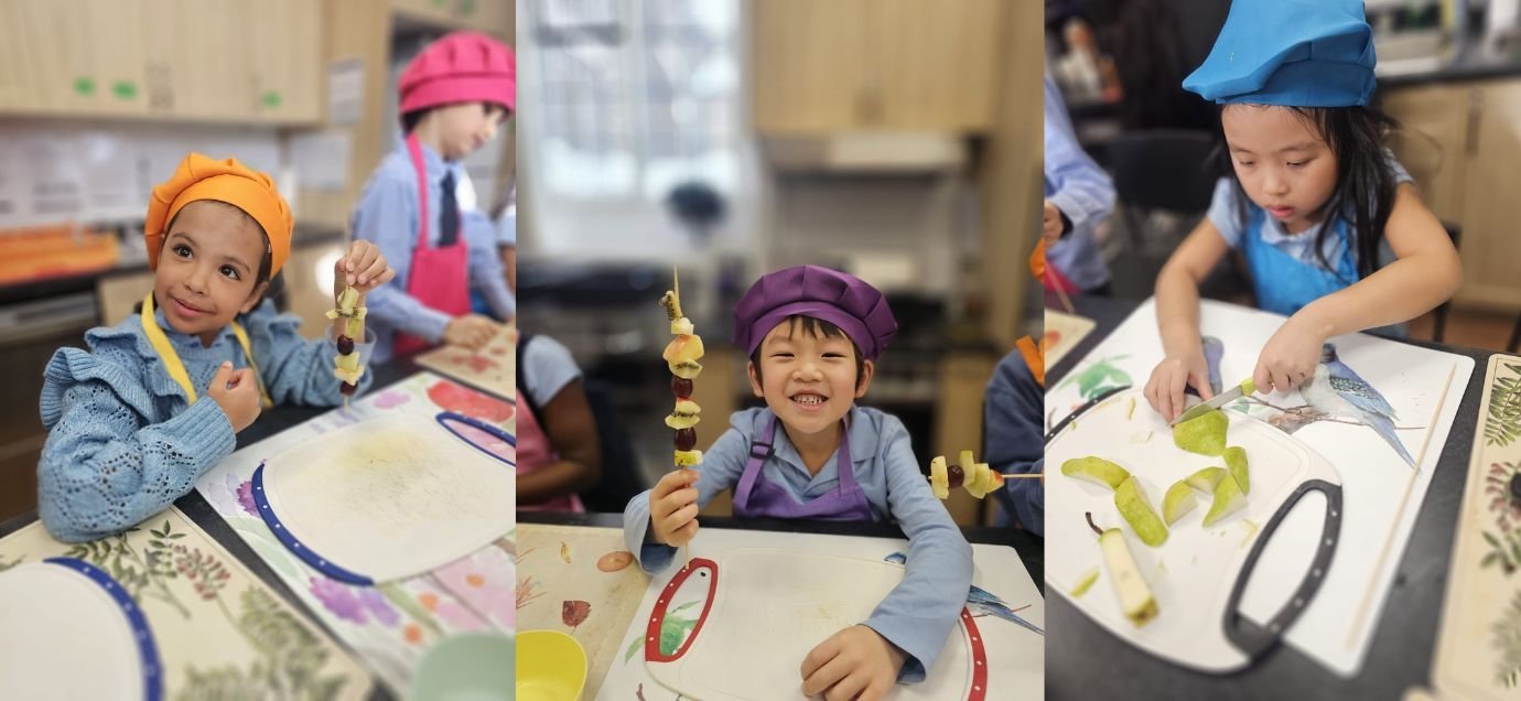 Montessori Activites